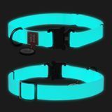 Нашийник для собак водостійкий WAUDOG Waterproof c QR паспортом, світонакоплювальний, металічна пряжка-фастекс, Ш 25 мм, Дов 38-58 см 2787 фото