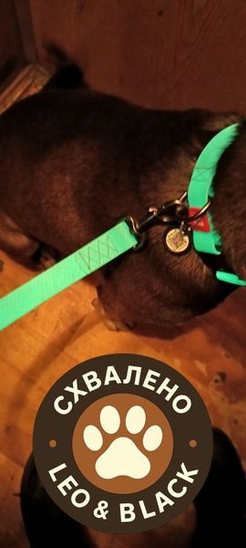 Нашийник для собак водостійкий WAUDOG Waterproof c QR паспортом, металічна пряжка-фастекс, Ш 20 мм, Дов 28-40 см 2787 фото