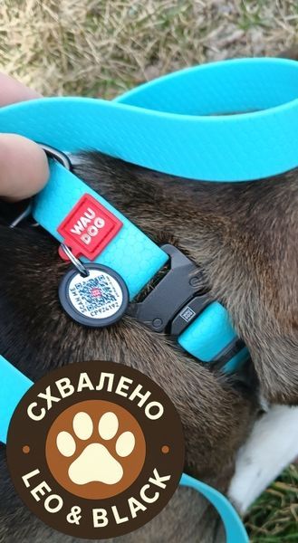 Нашийник для собак водостійкий WAUDOG Waterproof c QR паспортом, металічна пряжка-фастекс, Ш 20 мм, Дов 28-40 см 2787 фото