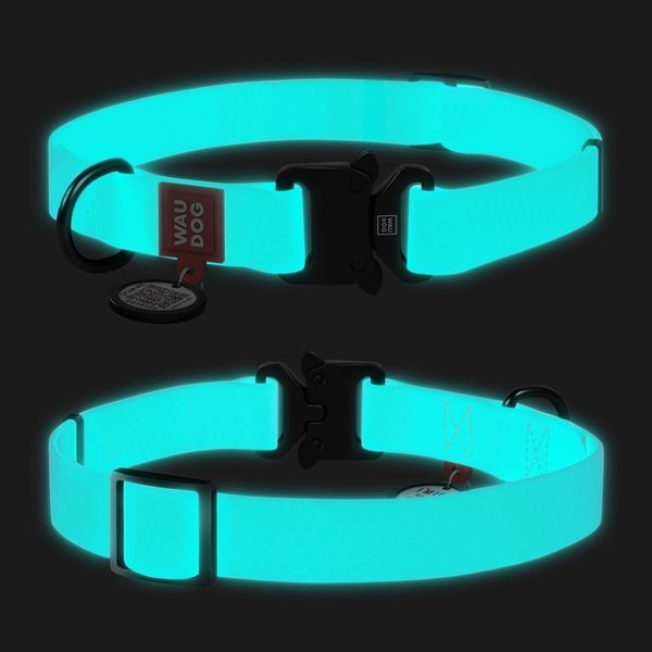 Нашийник для собак водостійкий WAUDOG Waterproof c QR паспортом, металічна пряжка-фастекс, Ш 20 мм, Дов 28-40 см 2787 фото