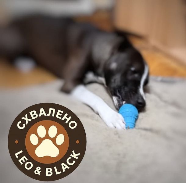 Іграшка для собак Лампочка- годівниця гумова GiGwi Bulb Rubber 2336 фото