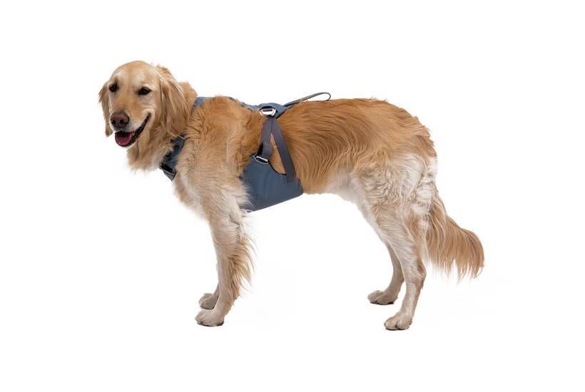 Автошлейка Ruffwear Load Up&trade; XXS 33-43 см Синій 30842 фото