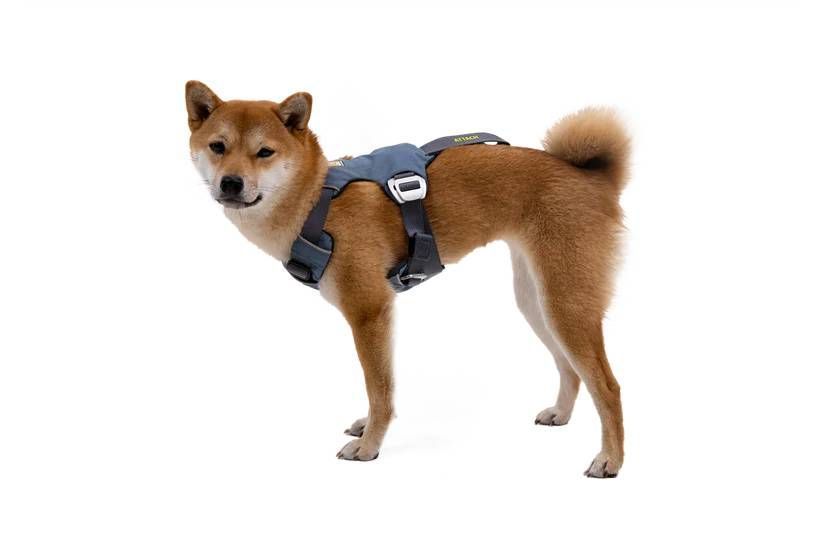Автошлейка Ruffwear Load Up&trade; XXS 33-43 см Синій 30842 фото