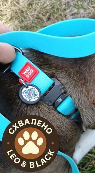 Повідець для собак водостійкий WAUDOG Waterproof, Ментол S, Ш 15 мм, Дов 122 см 2726 фото