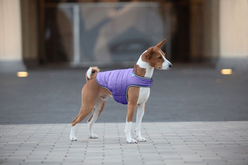 Куртка-накидка для собак AiryVest, XL, B 68-80 см, С 42-52 см фіолетовий 15459 фото