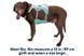 Охолоджувальна шлейка для собак Ruffwear Swamp Cooler&trade; M 69-81 см Зелений 30860 фото 18