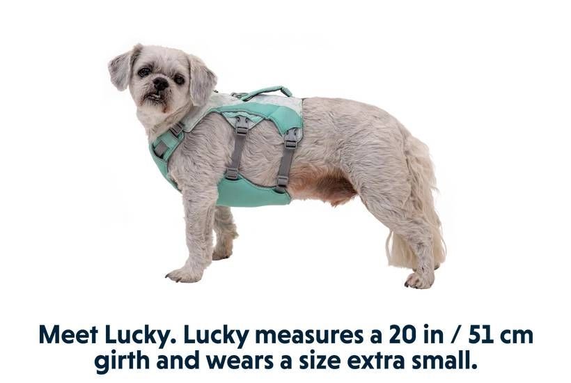 Охолоджувальна шлейка для собак Ruffwear Swamp Cooler&trade; M 69-81 см Зелений 30860 фото