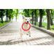 Кільце для апортировки PitchDog30, діаметр 28 см, рожевий 62374 фото 8