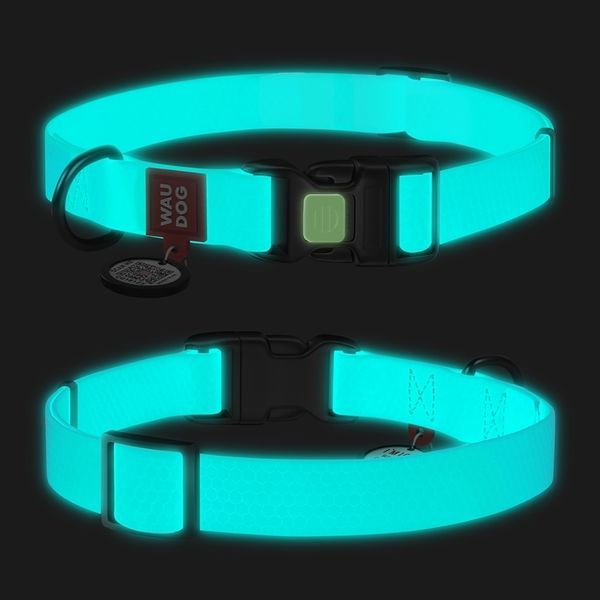 Нашийник для собак водостійкий WAUDOG Waterproof c QR паспортом, світонакоплювальний, пластикова пряжка-фастекс, Ш 15 мм, Дов 25-35 см 2744 фото