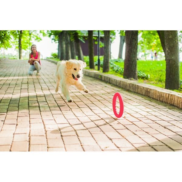 Кільце для апортировки PitchDog20, діаметр 20 см, рожевий 62374 фото