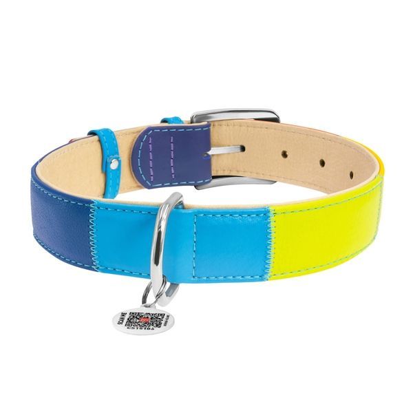 Нашийник для собак шкіряний WAUDOG Glamour з QR паспортом, "Веселка", XL, Ш 35 мм, Дов 46-60 см 3920 фото
