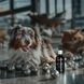 СУПЕРІУМ Сільвер краплі очні з колоїдним сріблом для котів та собак, 30 мл 9101 фото 8
