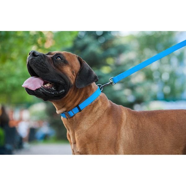 Повідець для собак водостійкий WAUDOG Waterproof , S, Ш 15 мм, Дов 122 см блакитний 27224 фото