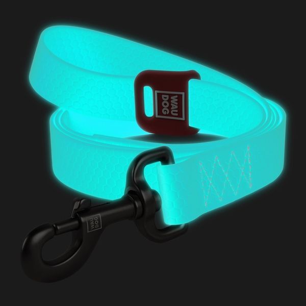Повідець для собак водостійкий WAUDOG Waterproof, M, Ш 20 мм, Дов 122 см 2726 фото