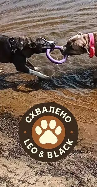 Тренувальний снаряд для собак PULLER набір з двох кілець 6490 фото