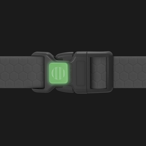 Нашийник для собак водостійкий WAUDOG Waterproof з QR паспортом, пластиковий фастекс, XXL, Ш 40 мм, Дов 46-70 см, блакитний 27395 фото