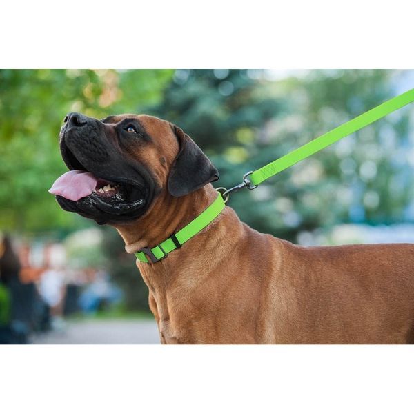 Повідець для собак водостійкий WAUDOG Waterproof, L-XXL, Ш 25 мм, Дов 122 см салатовий 27224 фото