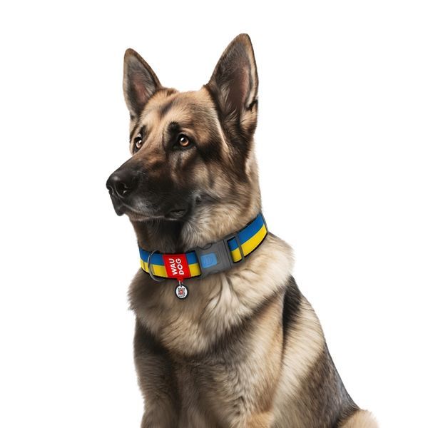 Нашийник для собак нейлоновий WAUDOG Nylon з QR паспортом, малюнок "Colors of freedom", пластиковий фастекс, XXL, Ш 35 мм, Дов 46-70 см 284-4020 фото