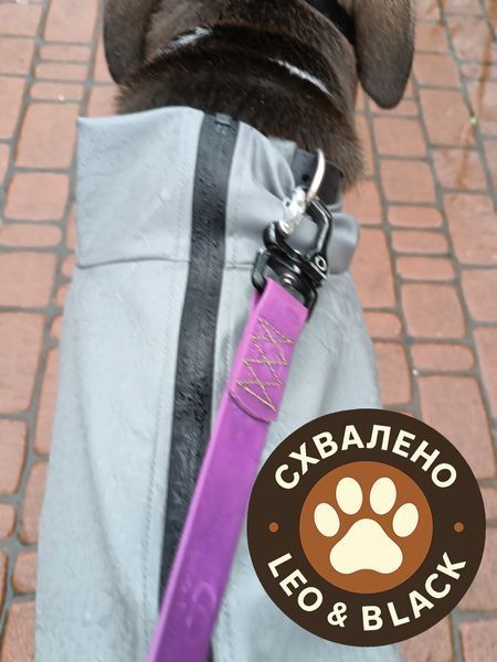 Дощовик для собак WAUDOG Clothes, водонепроникний, XS25, В 36-38 см, С 26-28 см, сірий 19868 фото