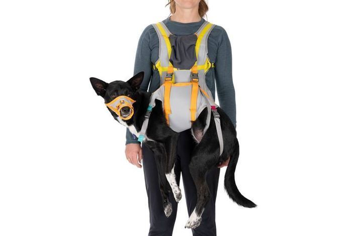 Набір для евакуації собаки Ruffwear BackTrak&trade; Сірий L 41904 фото