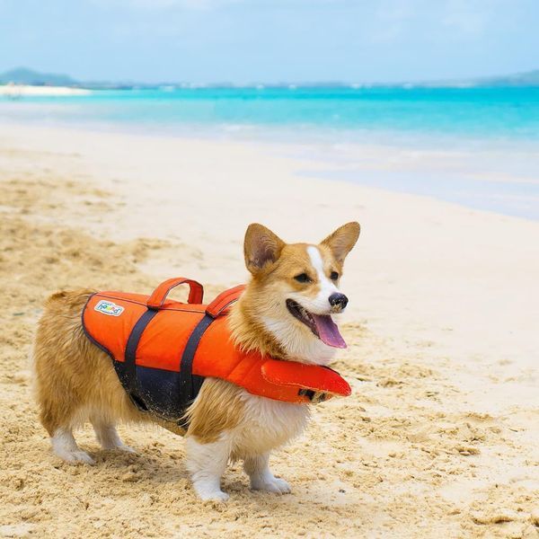 Outward Hound Granby Splash Аутвард Хаунд Рятувальний жилет для собак XL oh22022 фото