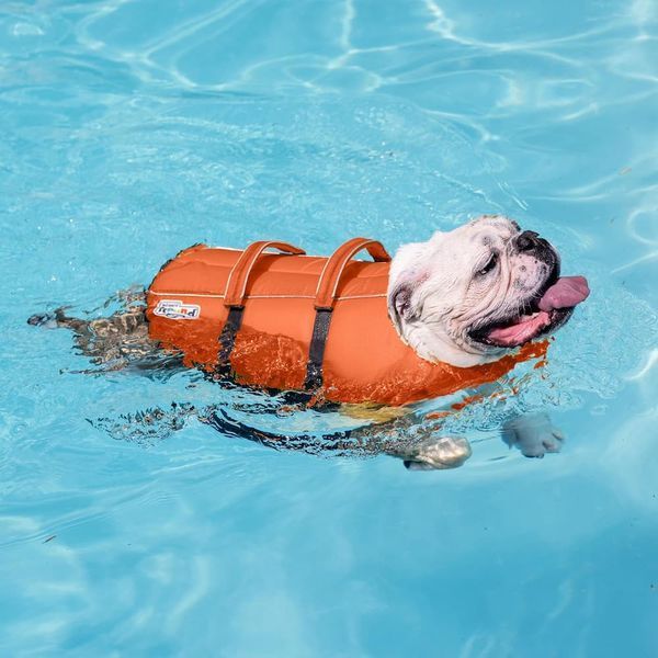 Outward Hound Granby Splash Аутвард Хаунд Рятувальний жилет для собак XL oh22022 фото