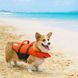 Outward Hound Granby Splash Аутвард Хаунд Рятувальний жилет для собак XL oh22022 фото 2